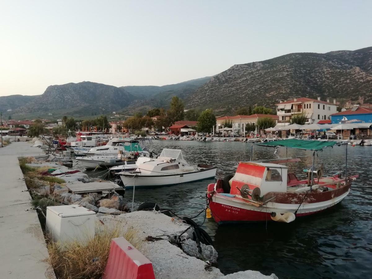 House With Dreamy View Volos Agria Exterior foto